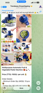 Multipurpose Automatic Fruit & Vegetable Peeler Machine